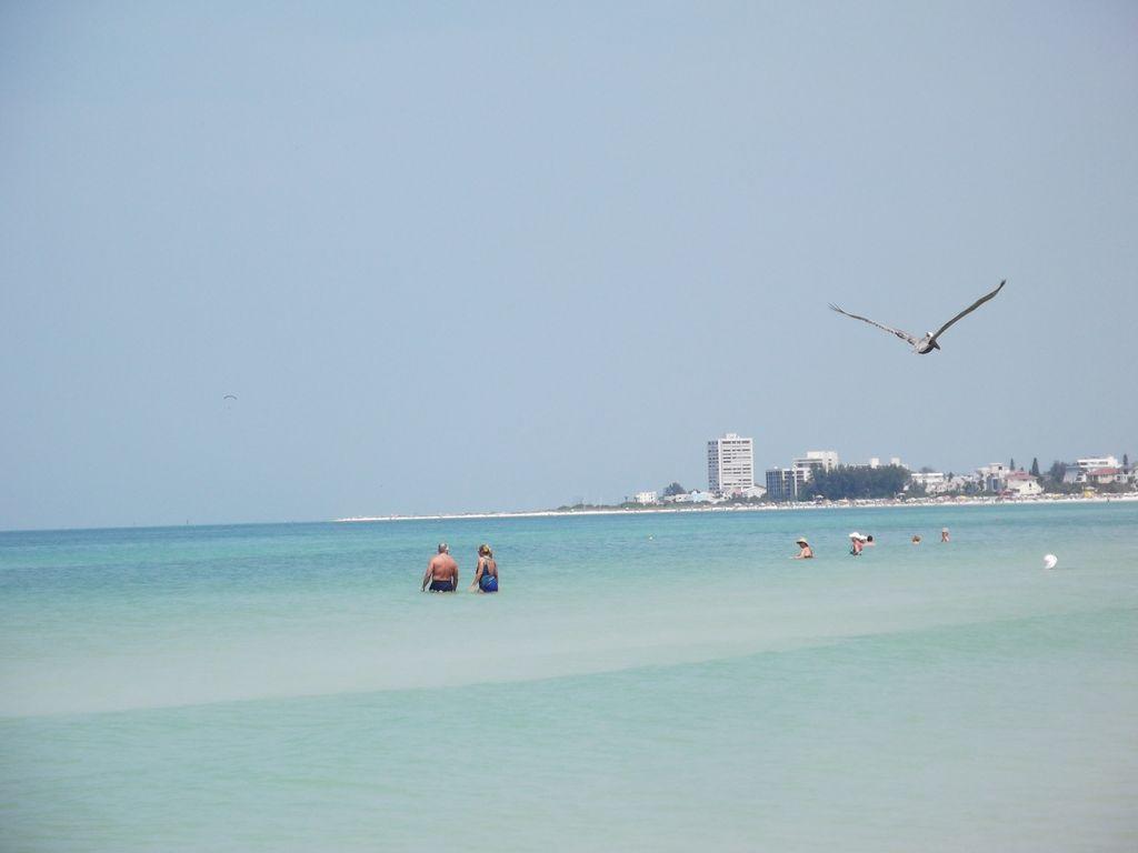 1+1 Large Condo Sarasota Buitenkant foto